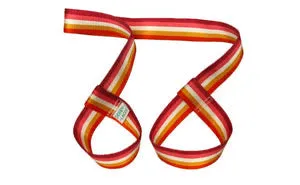 Derby Laces Skate Gear Leash 54 inch (137 cm) Lesbian Stripe
