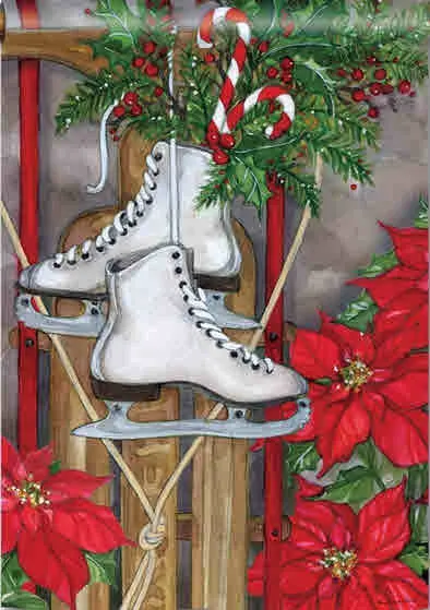 SLED & SKATES